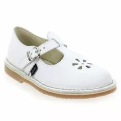 Aster DINGO - Marine Marine